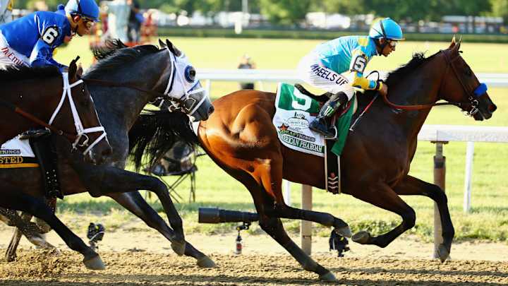 American Pharoah could race again this year, owner says