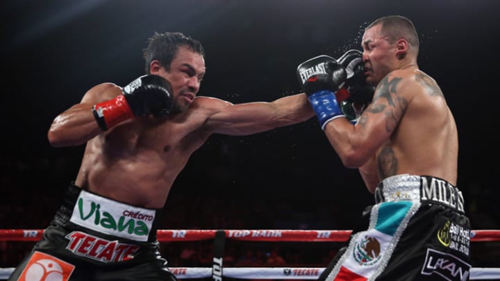 Juan Manuel Marquez dominates Mike Alvarado in victory