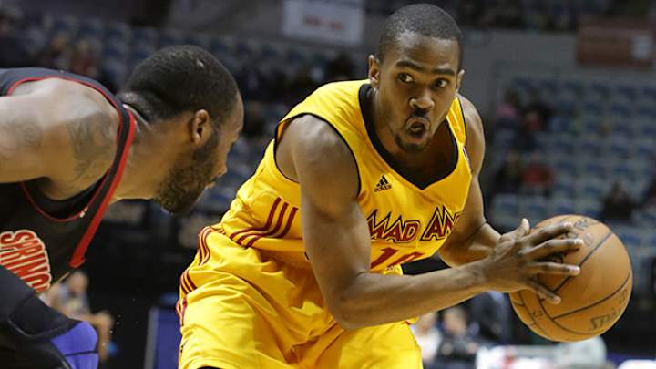 Point After: Meet The Ant Who Won't Cry Uncle