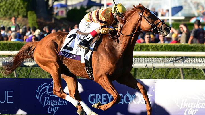 Two-time Breeders’ Cup winner Wise Dan will not defend title