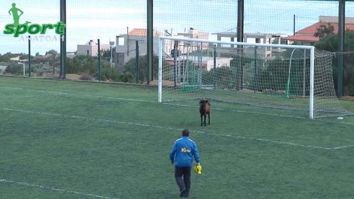 Watch: Greek soccer match interrupted by stubborn goat on field