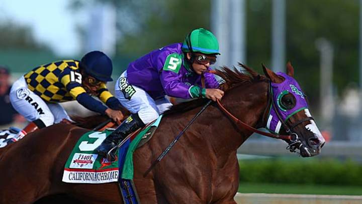 How Preakness Favorites Fared
