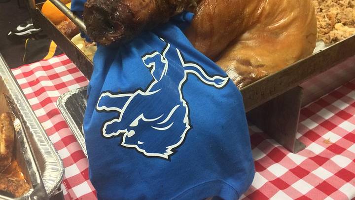Vikings eat huge roasted pig for lunch after practice