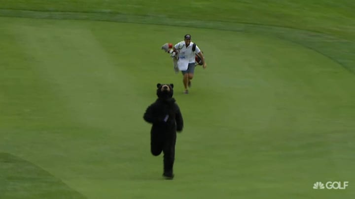 A man in a bear suit crashed the LPGA's Marathon Classic
