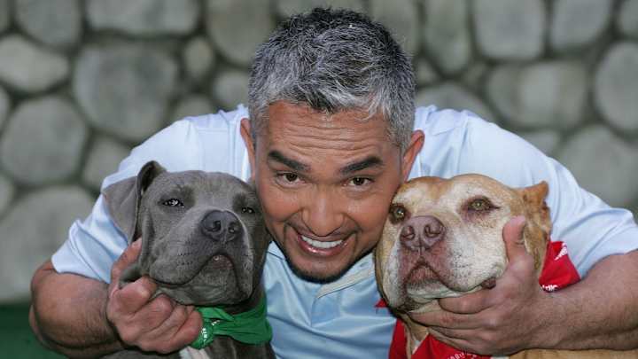 The Dog Whisperer is giving tips on how to stop soccer players from biting