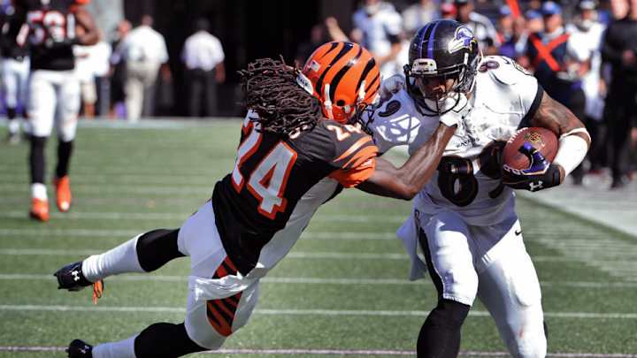 Ravens' Steve Smith called out Panthers after Week 1 touchdown Ravens' Steve Smith called out Panthers after Week 1 touchdown