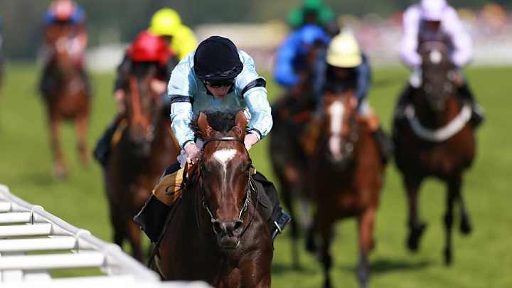 Breeders' Cup colt has Manchester United, Downton Abbey ties Breeders' Cup colt has Manchester United, Downton Abbey ties