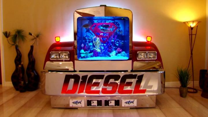 Shaq and Pete Rose both get outrageous aquariums on Tanked Shaq and Pete Rose both get outrageous aquariums on Tanked