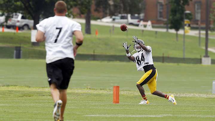 Antonio Brown prepares for an encore as Steelers break in green receivers