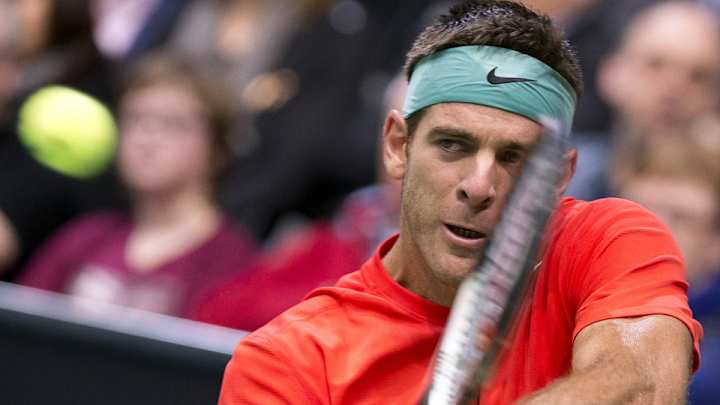 Juan Martin Del Potro pulls out of US Open