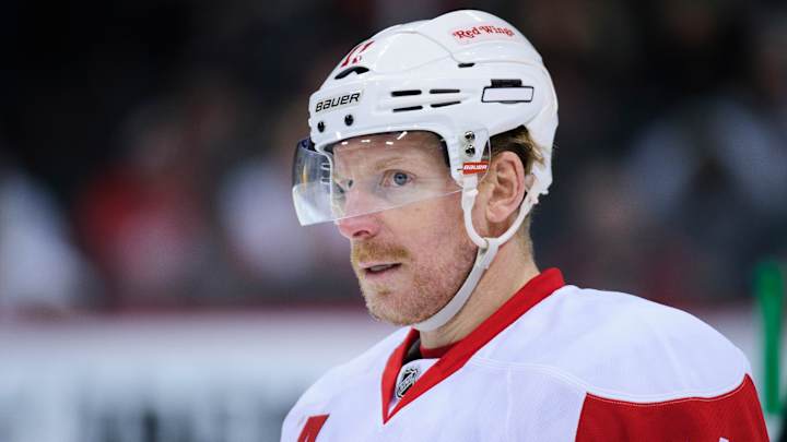 Red Wings forward Daniel Alfredsson undecided on future