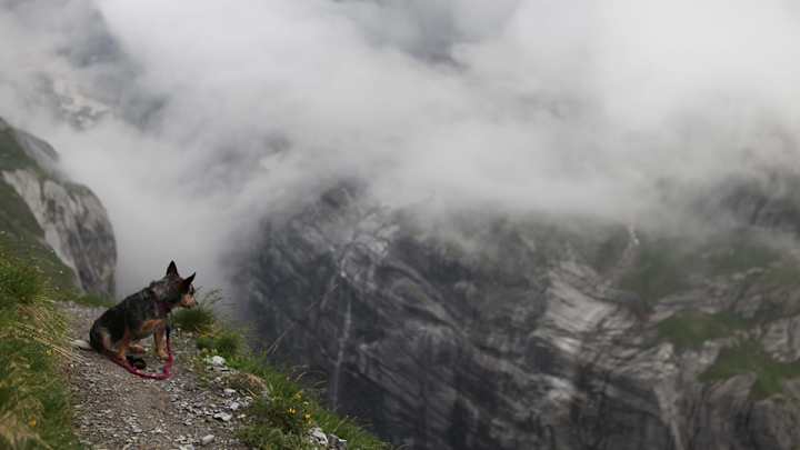 Extra Reps: SI Edge's Weekly Picks Extra Reps: SI Edge's Weekly Picks