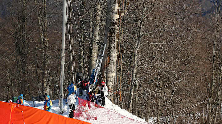 SOCHI SCENE: Tree Climbing