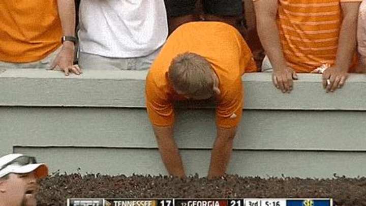 Tennessee fumbles, fan takes it out on hedges