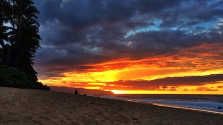 A Day in the Life: Professional surfer Courtney Conlogue