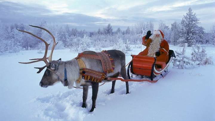 Santa's reindeer have their own baseball team