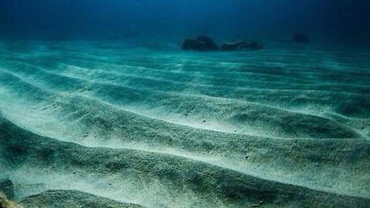 A Day in the Life: Pro surfer Ellie-Jean Coffey