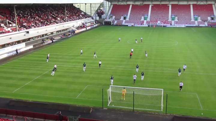 Soccer player hits low-flying seagull with clearance kick