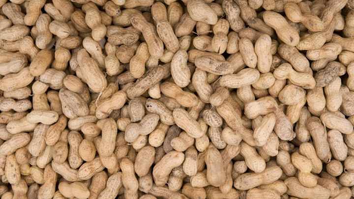 Royals peanut vendor makes amazing toss to upper deck Royals peanut vendor makes amazing toss to upper deck