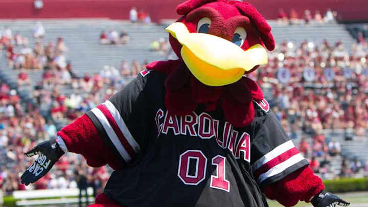 Team traditions: Story of how University of South Carolina got nickname Team traditions: Story of how University of South Carolina got nickname