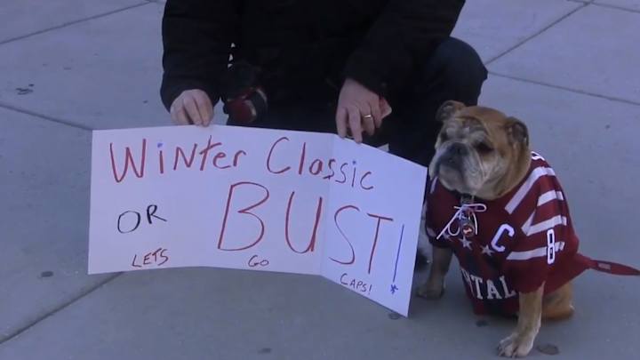 Ovie the Bulldog travels to Washington for Winter Classic