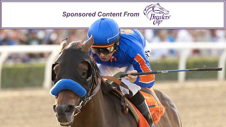 How baseball Hall of Famer Joe Torre fell hard for horse racing