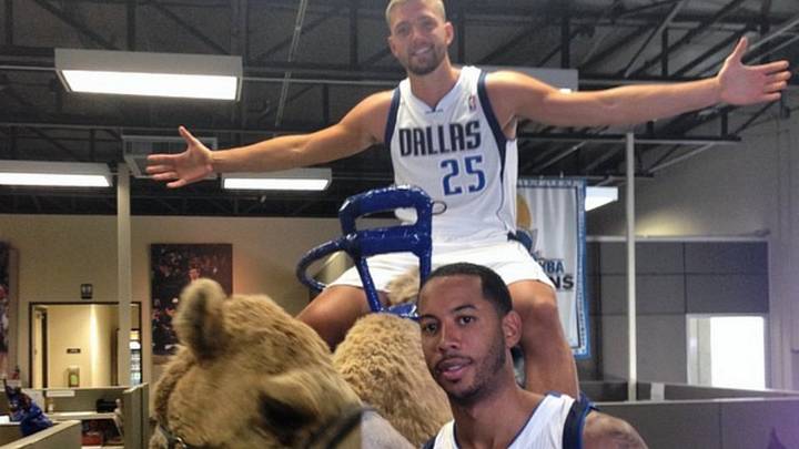 Chandler Parsons is riding a camel in the Mavericks offices