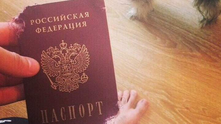 Dog chews Russian hockey player's passport Dog chews Russian hockey player's passport