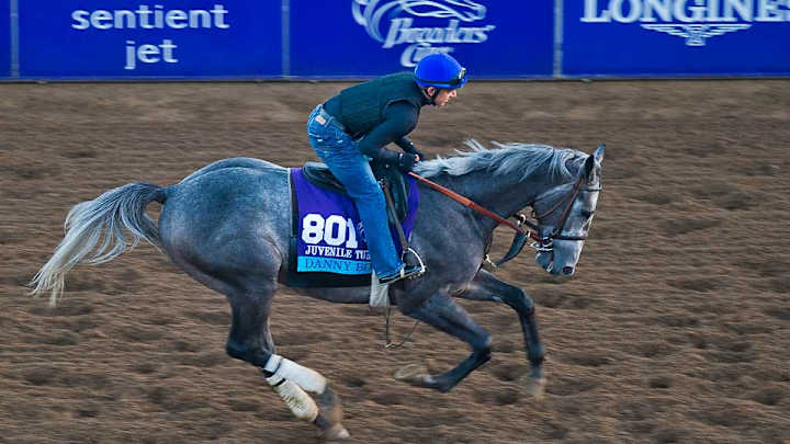 Donegal Racing heads to the Breeders' Cup with homegrown talent
