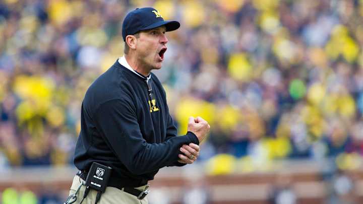 Photo: Someone dressed up their dog like Jim Harbaugh for Halloween Photo: Someone dressed up their dog like Jim Harbaugh for Halloween