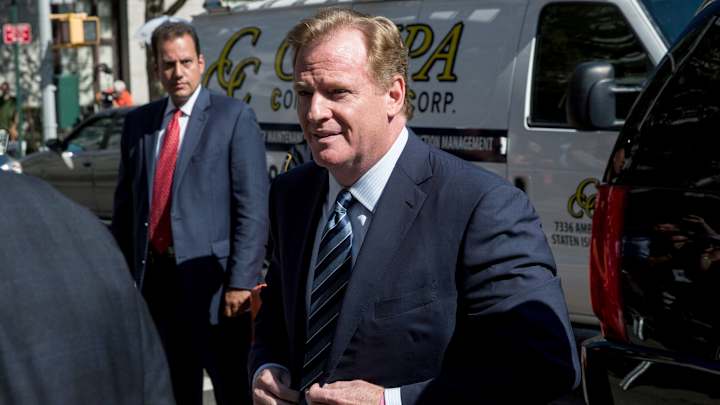 Report: NFL owners will discuss changing Goodell's disciplinary role