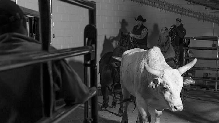 Professional Bull Riders at Madison Square Garden