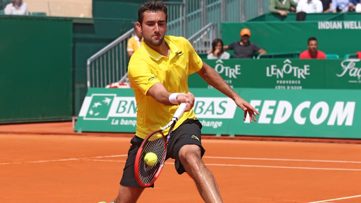 Cilic loses in straight sets to Estrella at Barcelona Open