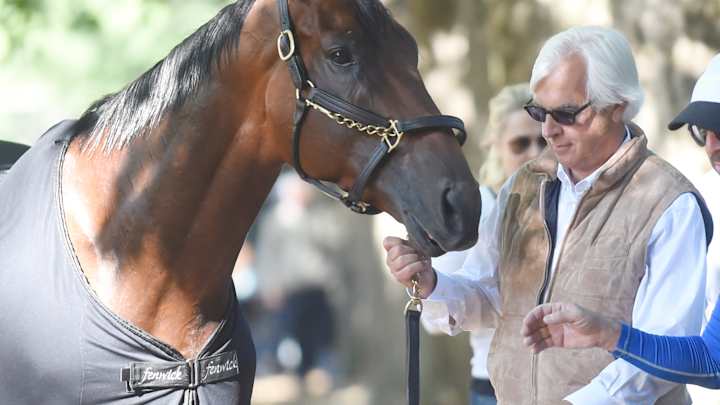 Travers time for American Pharoah on long trek by hoof, air