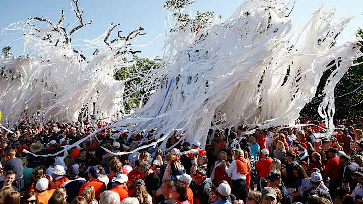 Auburn will replace the oaks at Toomer's Corner on Valentine's Day Auburn will replace the oaks at Toomer's Corner on Valentine's Day