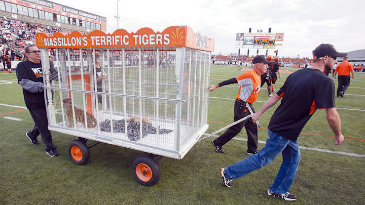 Ohio reviewing high school's use of tiger cub as mascot