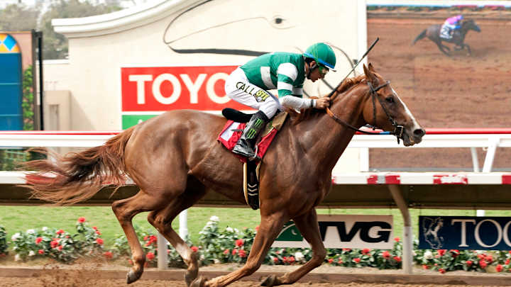 Stellar Wind wins Torrey Pines Stakes for fillies at Del Mar