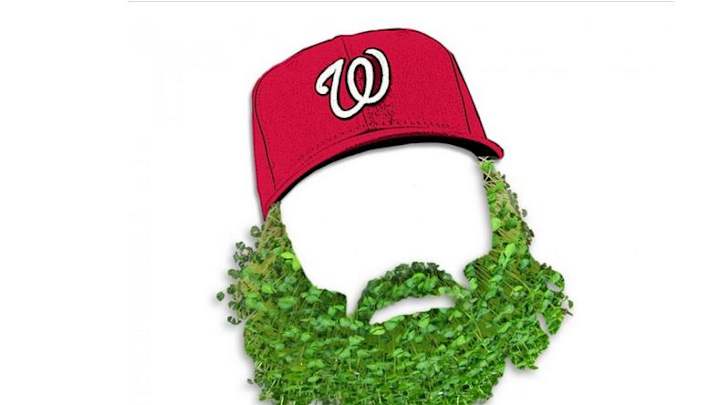 Nationals' 2015 promotions include Star Wars Day, gnomes, Chia Pets