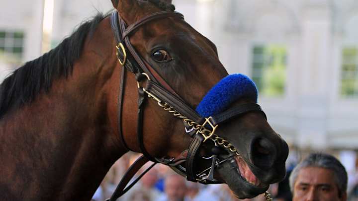 Triple Crown winner American Pharoah returns to California