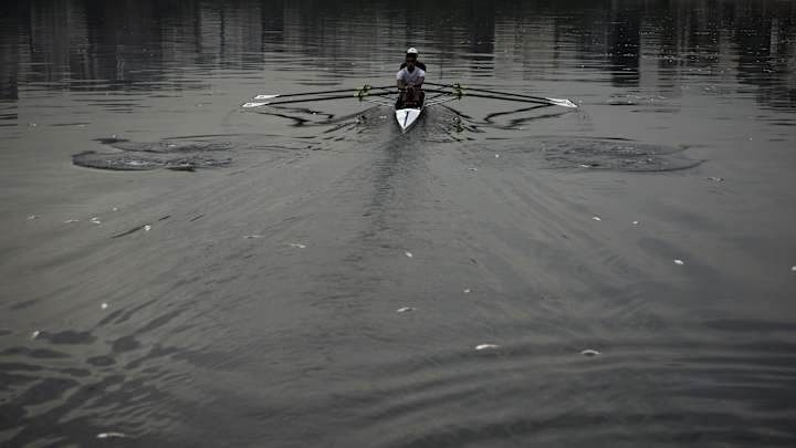 37  tons of dead fish removed from Rio Olympic rowing venue