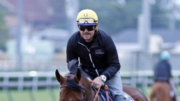 American Pharoah gallops in Kentucky, others work at Belmont