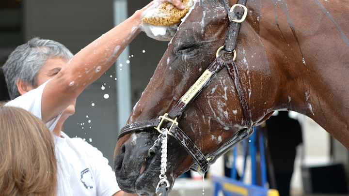 Get your Triple Crown tickets - plenty available, for now