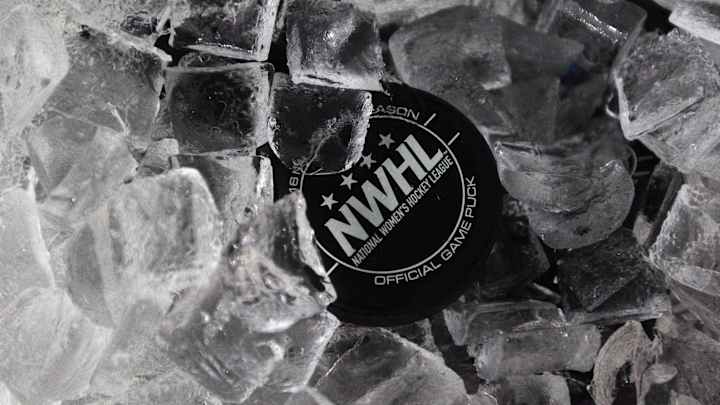 NWHL conducts inaugural All-Star Game draft NWHL conducts inaugural All-Star Game draft