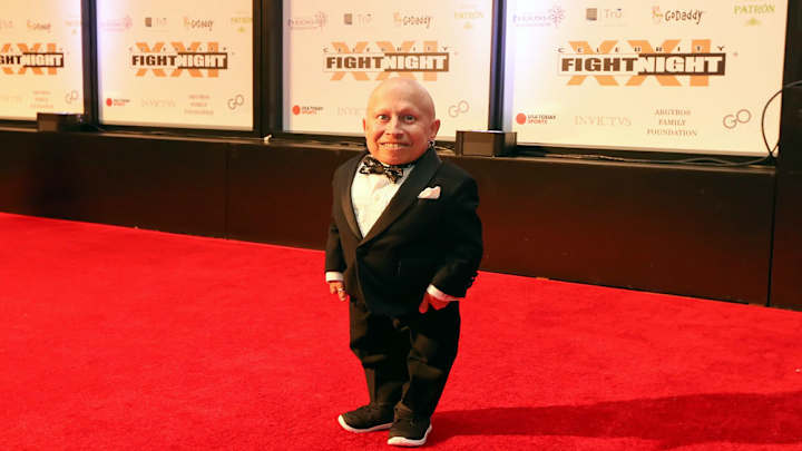 Celebrity Fight Night 2015