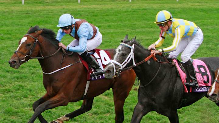 Stopchargingmaria survives drama, wins Breeders' Cup Distaff