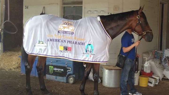 American Pharoah receives Triple Crown blanket with name misspelled American Pharoah receives Triple Crown blanket with name misspelled