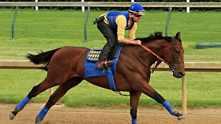 Preakness Stakes post positions: American Pharoah draws rail