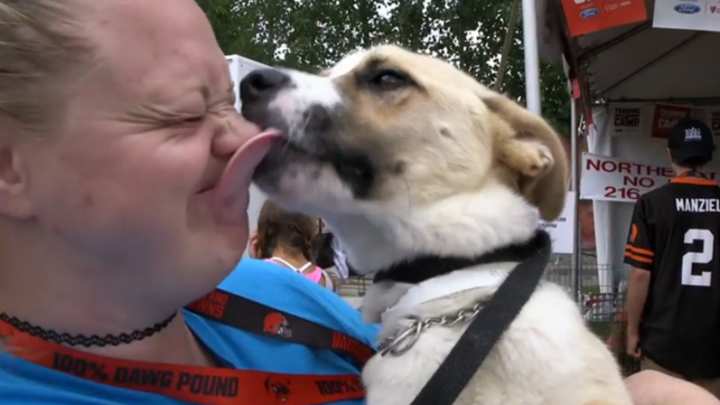 Puppies at Training Camp! Puppies at Training Camp!