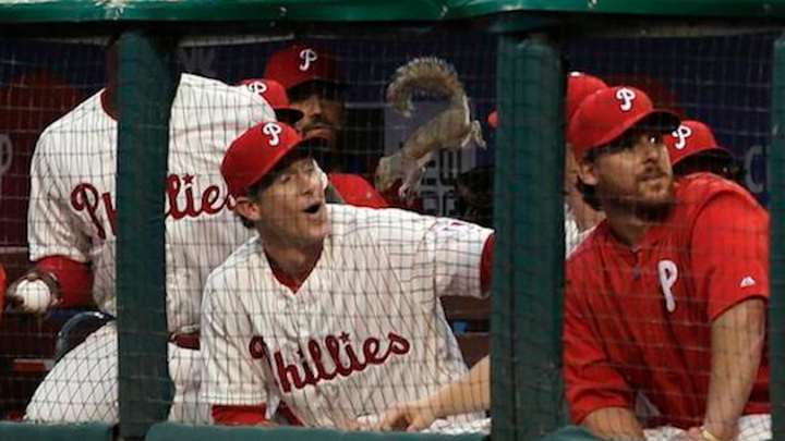 Watch: Crazed squirrel flies into Phillies dugout, lands on Chase Utley Watch: Crazed squirrel flies into Phillies dugout, lands on Chase Utley