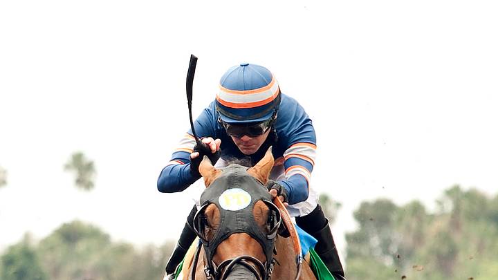 Neveradoubt rallies to win Snow Chief Stakes at Santa Anita